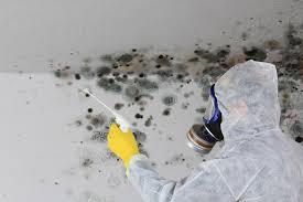 Best Asbestos and Lead Testing During Mold Inspection  in Lexington, OK